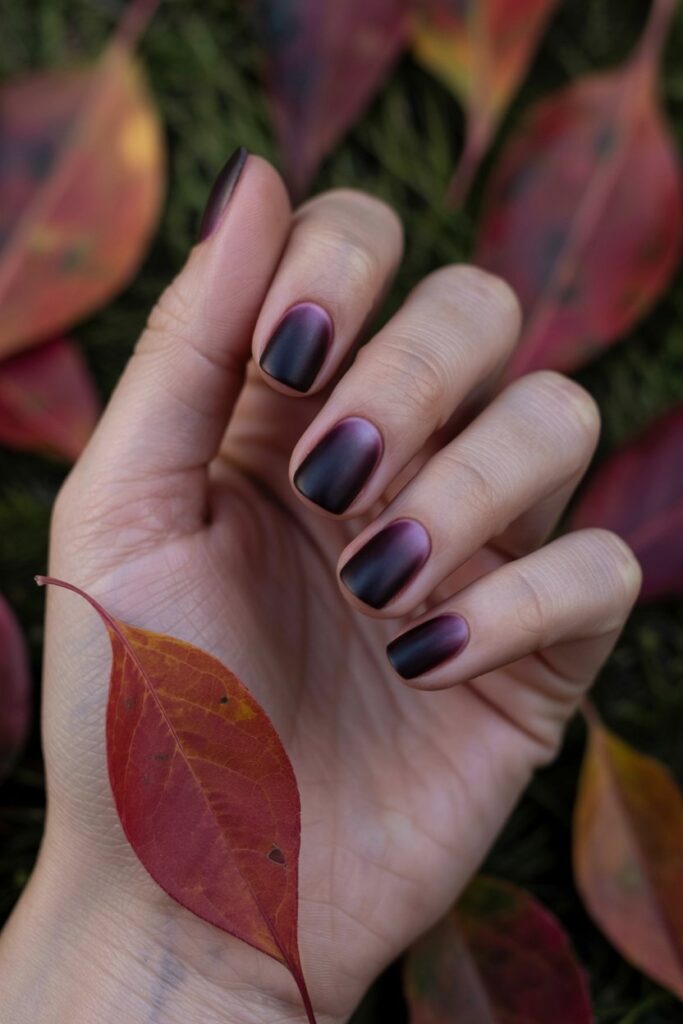 Dark Plum and Black Ombre A Little Bit Mysterious 🖤
